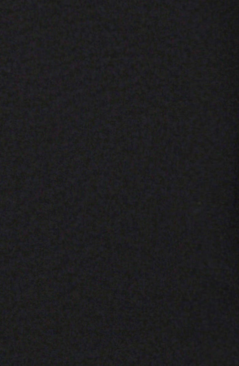 Mistress Rocks Straight Leg Sheer Mesh Pants, Alternate, color, Black