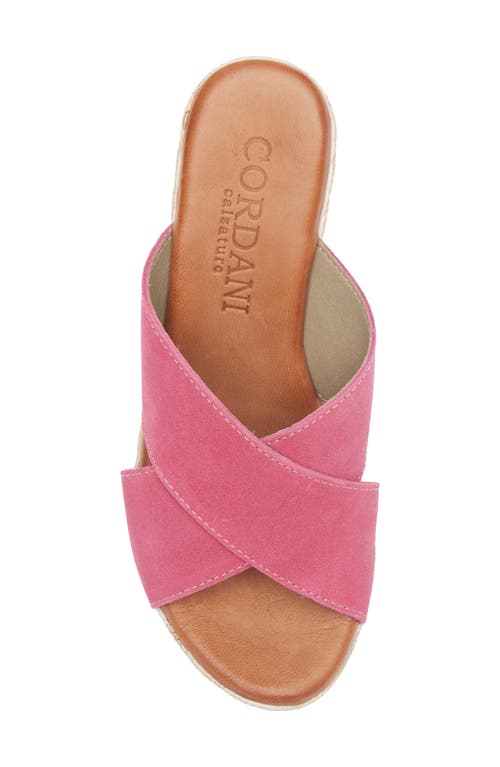 Cordani Braylin Espadrille Wedge Sandal In Fuchsia Suede