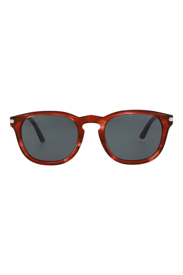 51mm Oval Sunglasses, Main, color, HAVANA HAVANA GREY