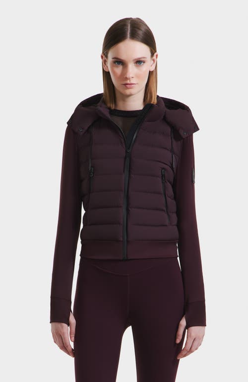 Rudsak Cassa Light Down & Neoprene Crop Jacket In Burgundy