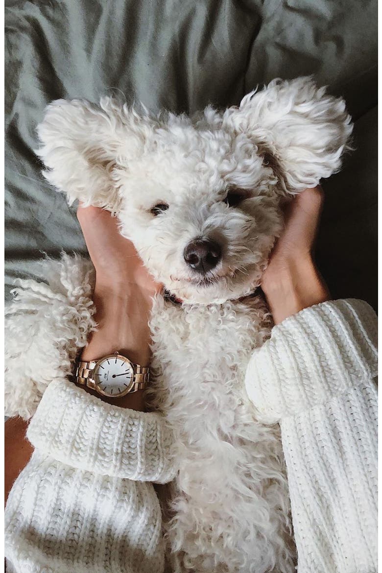 Iconic Bracelet Watch, 32mm, Alternate, color, EGGSHELL WHITE/ ROSE GOLD