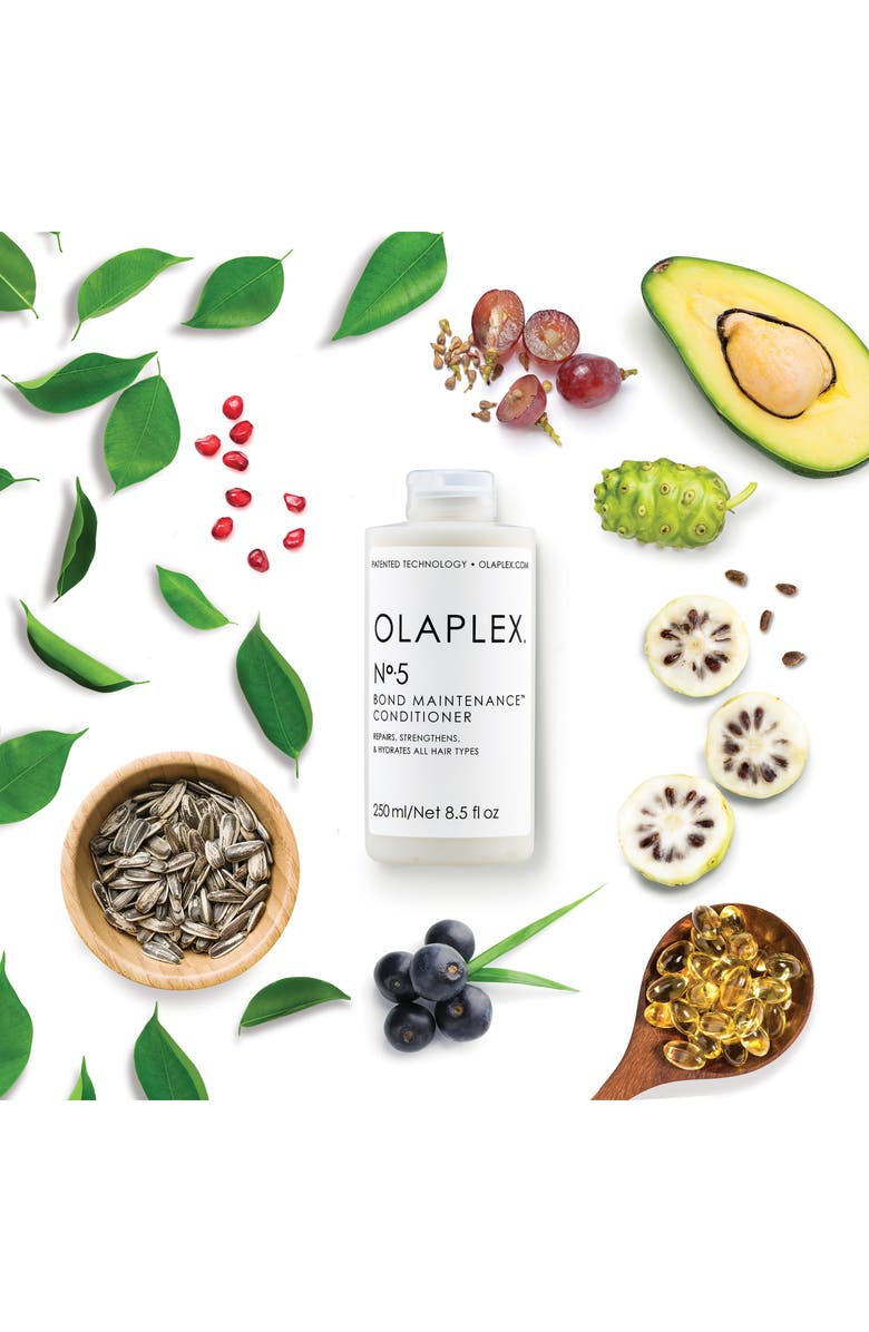 Olaplex No. 5 Bond Maintenance<sup>™</sup> Conditioner (Nordstrom Exclusive) $120 Value, Alternate, color,