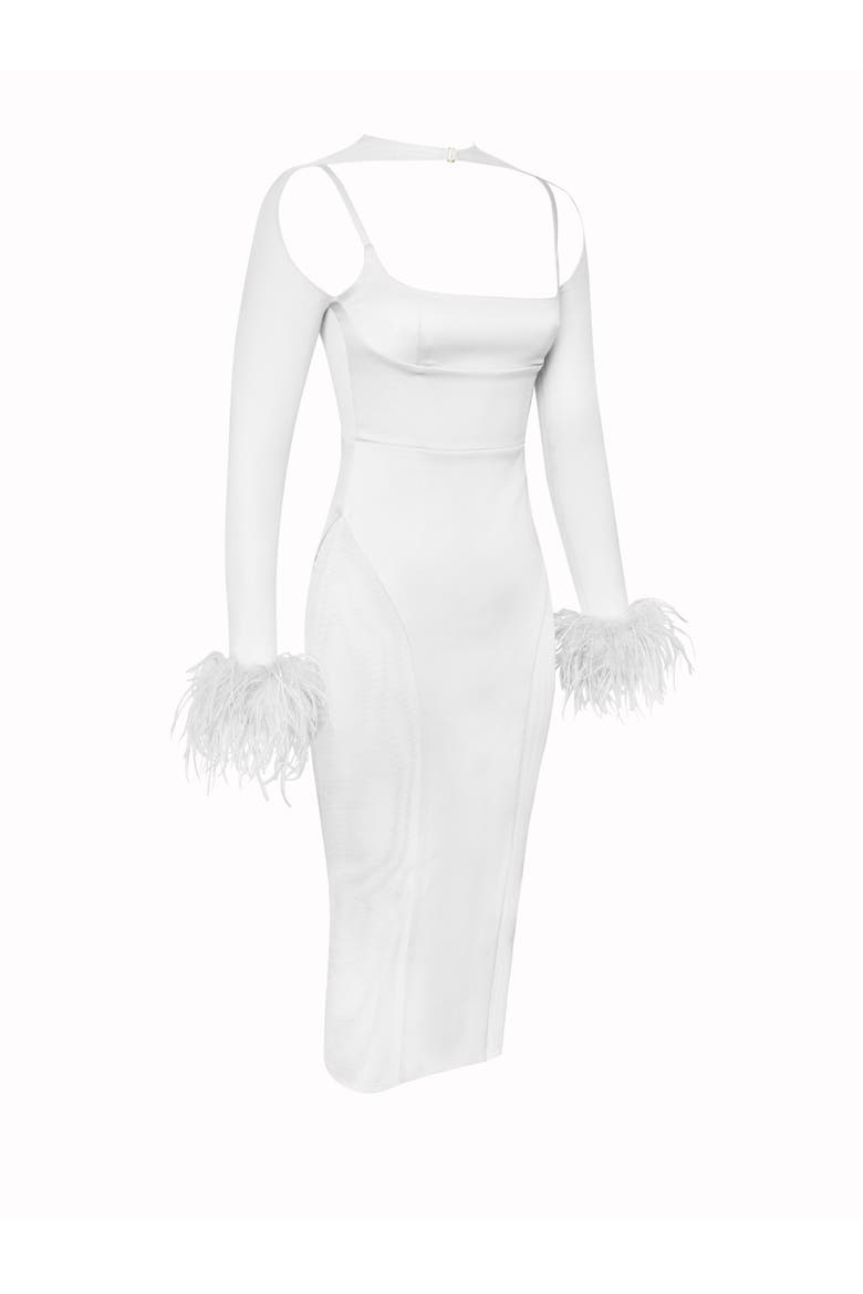 Oaklie Satin Mesh Sleeve Dress With Feathers, Alternate, color, White