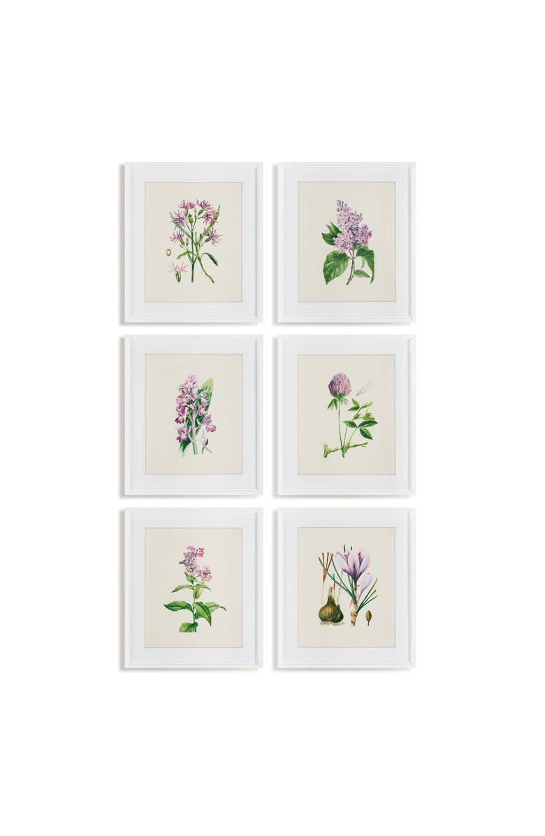 Napa Home & Garden Flower Study Prints Set of 6, Main, color, Purple