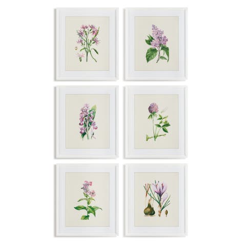 Flower Study Prints Set of 6