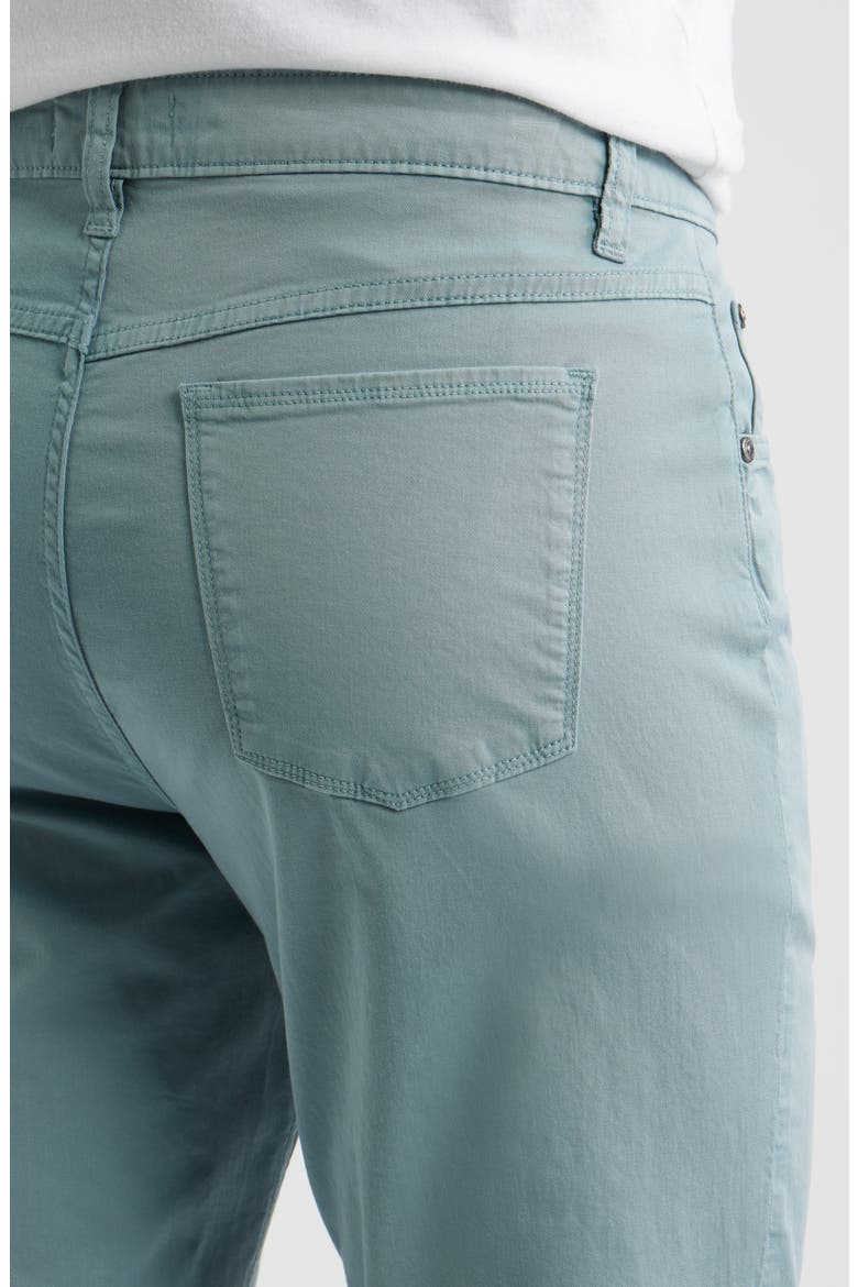Stretch Cotton Pants, Alternate, color, SHARK