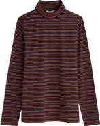 Seasalt Cornwall Landing Stripe Turtleneck Stretch Organic Cotton Top