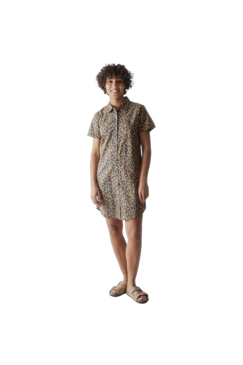 Girl Party Dress - Women's, Main, color, Spring Branch