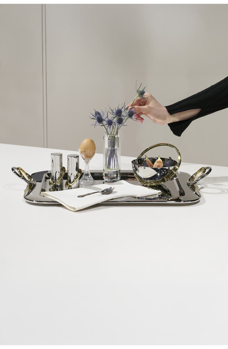 ANNA New York Ring Salt & Pepper Shaker Set, Alternate, color, Silver And Gold