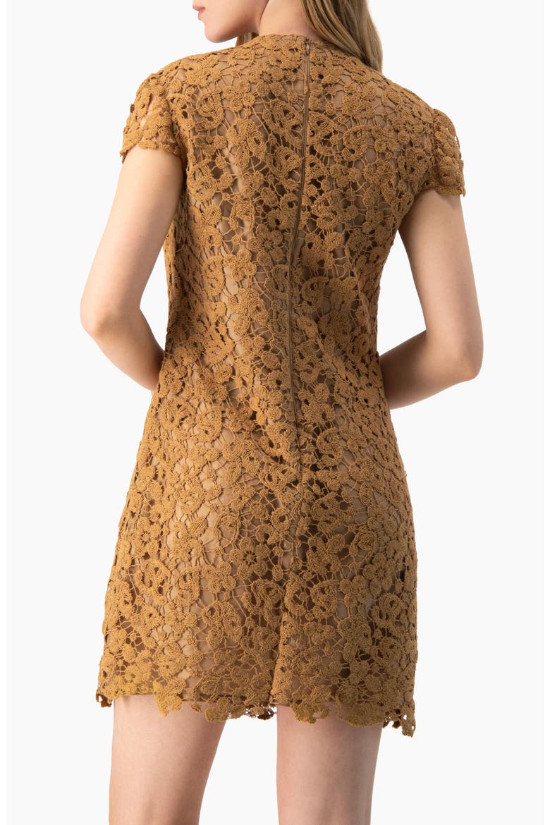 Guipure Lace Cap-Sleeve Shift Dress, Alternate, color, Light Brown