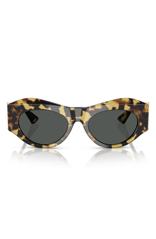 Versace 52mm Oval Sunglasses In Havana