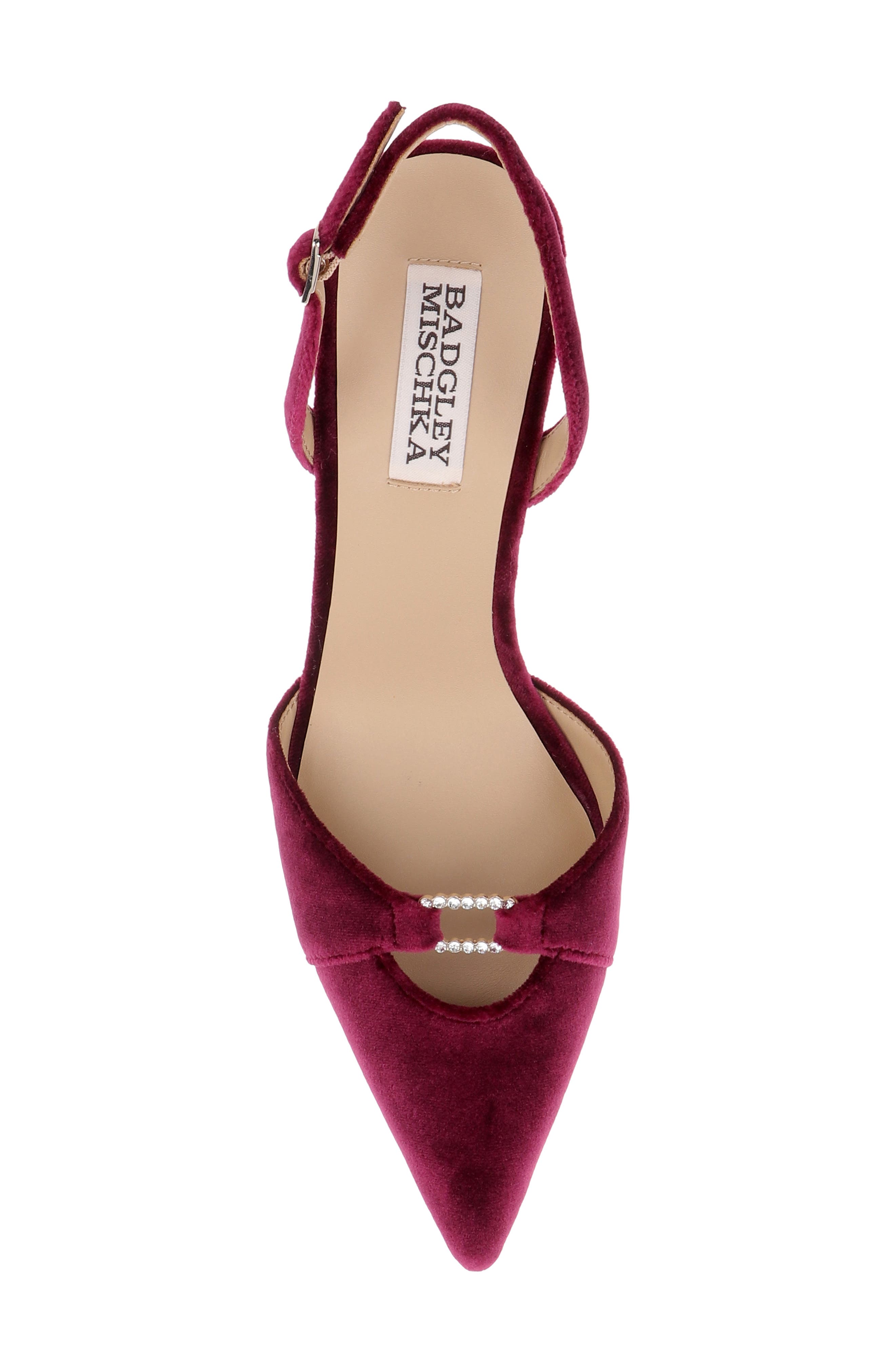Roger Slingback Pointed Toe Pump, Alternate, color, WINE VELVET