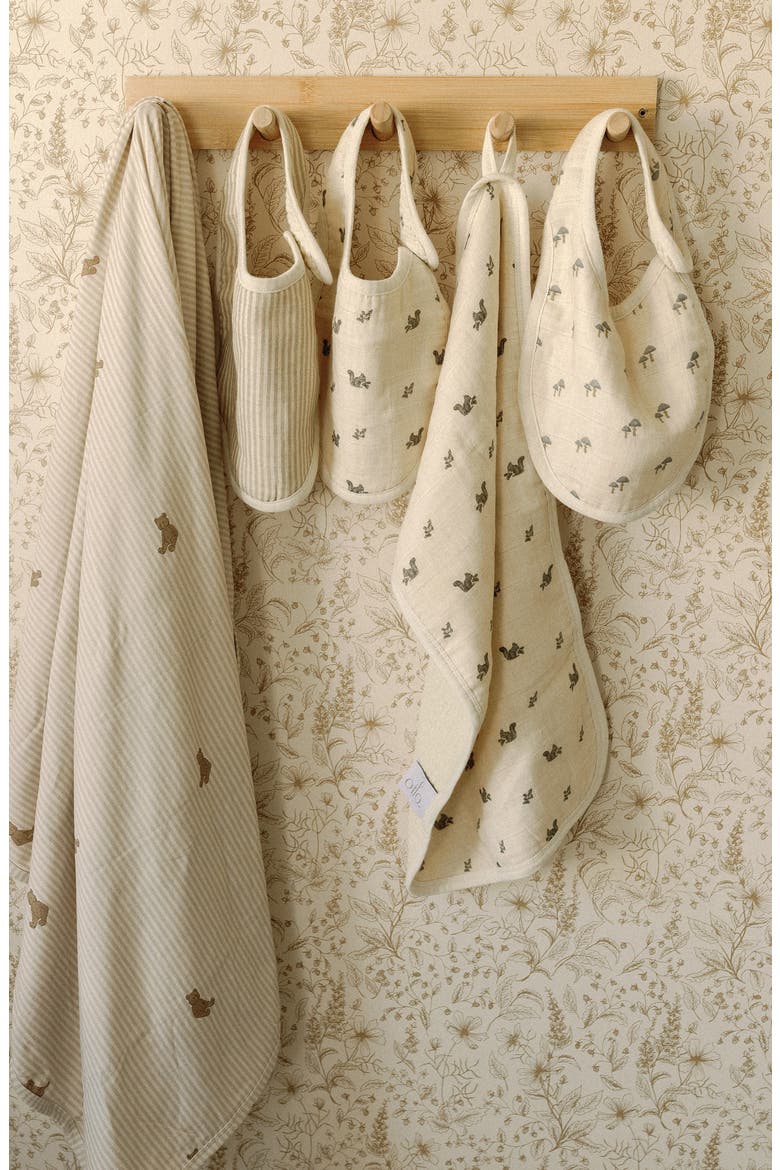 Assorted 2-Pack Organic Cotton Muslin Bibs, Alternate, color, MUSHROOMS/SQUIRRELS