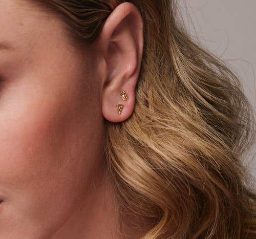 Whit Jewelry 14k Yellow Gold Pizza Stud In Gold