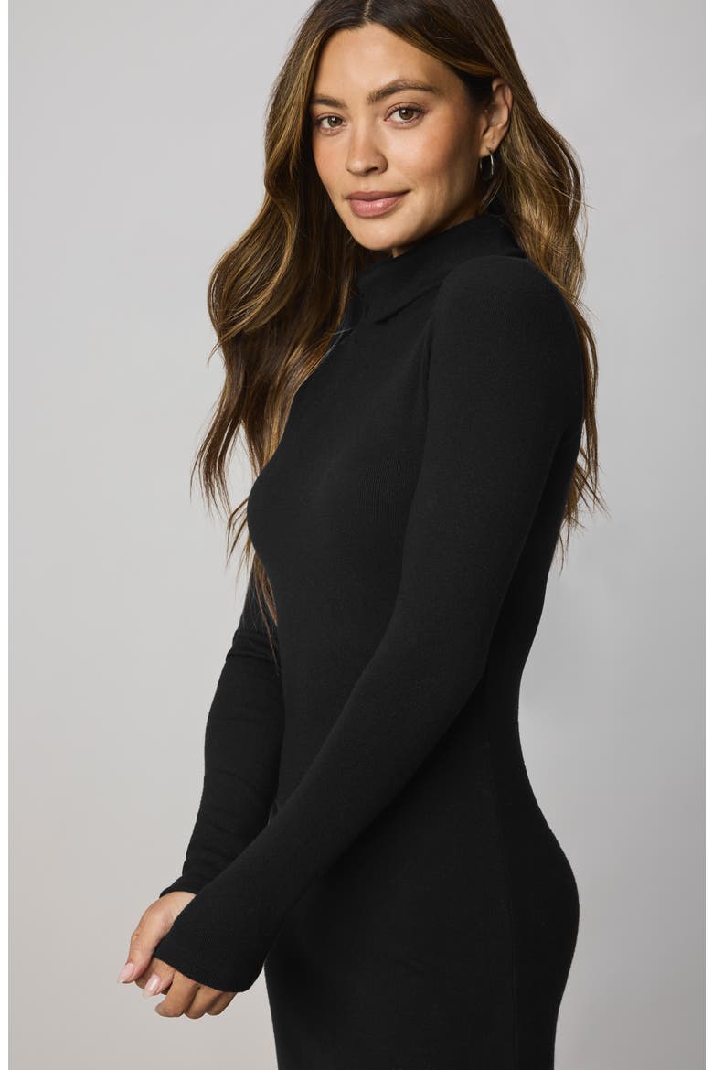 Rylee Turtleneck Long Sleeve Dress, Alternate, color, BLACK