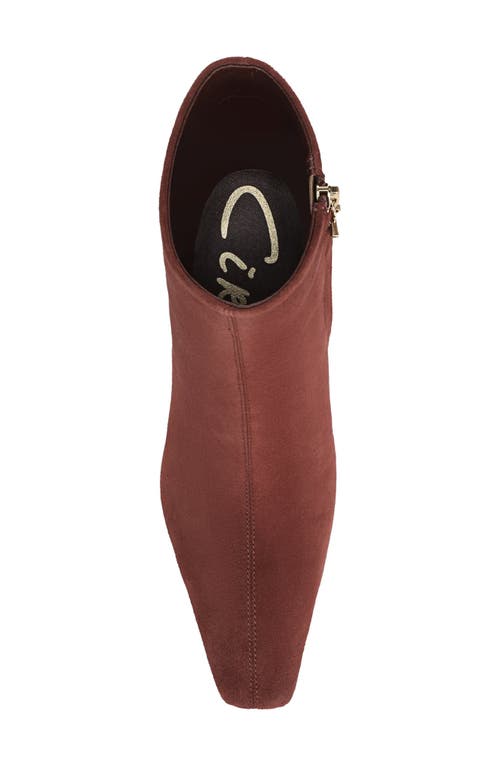 Circus Ny By Sam Edelman Laura Snip Toe Bootie In Brown