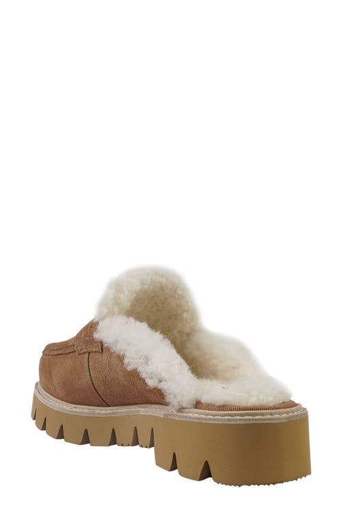National Comfort Leesa Faux Shearling Lined Clog