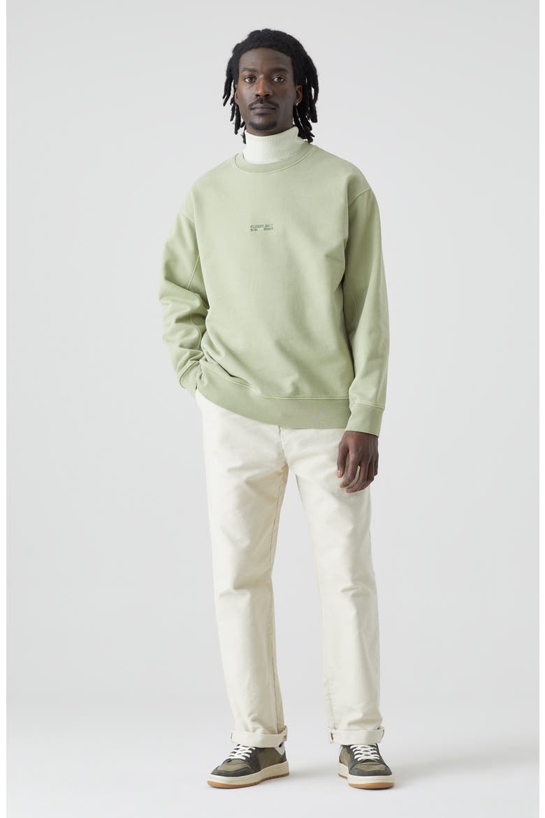 Oversize Organic Cotton Crewneck Sweatshirt, Alternate, color, TEA LEAF