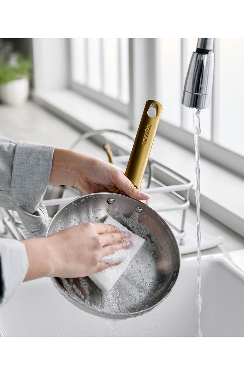 GreenPan Reserve 10-Piece Stainless Steel Cookware Set, Alternate, color, Stainless Steel