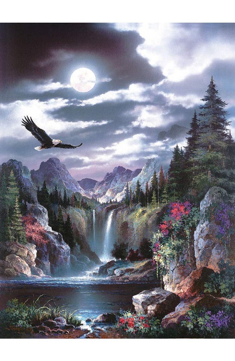 Sunsout Moonlit Eagle 1000 piece Jigsaw Puzzle for Adults, Alternate, color, Multicolor