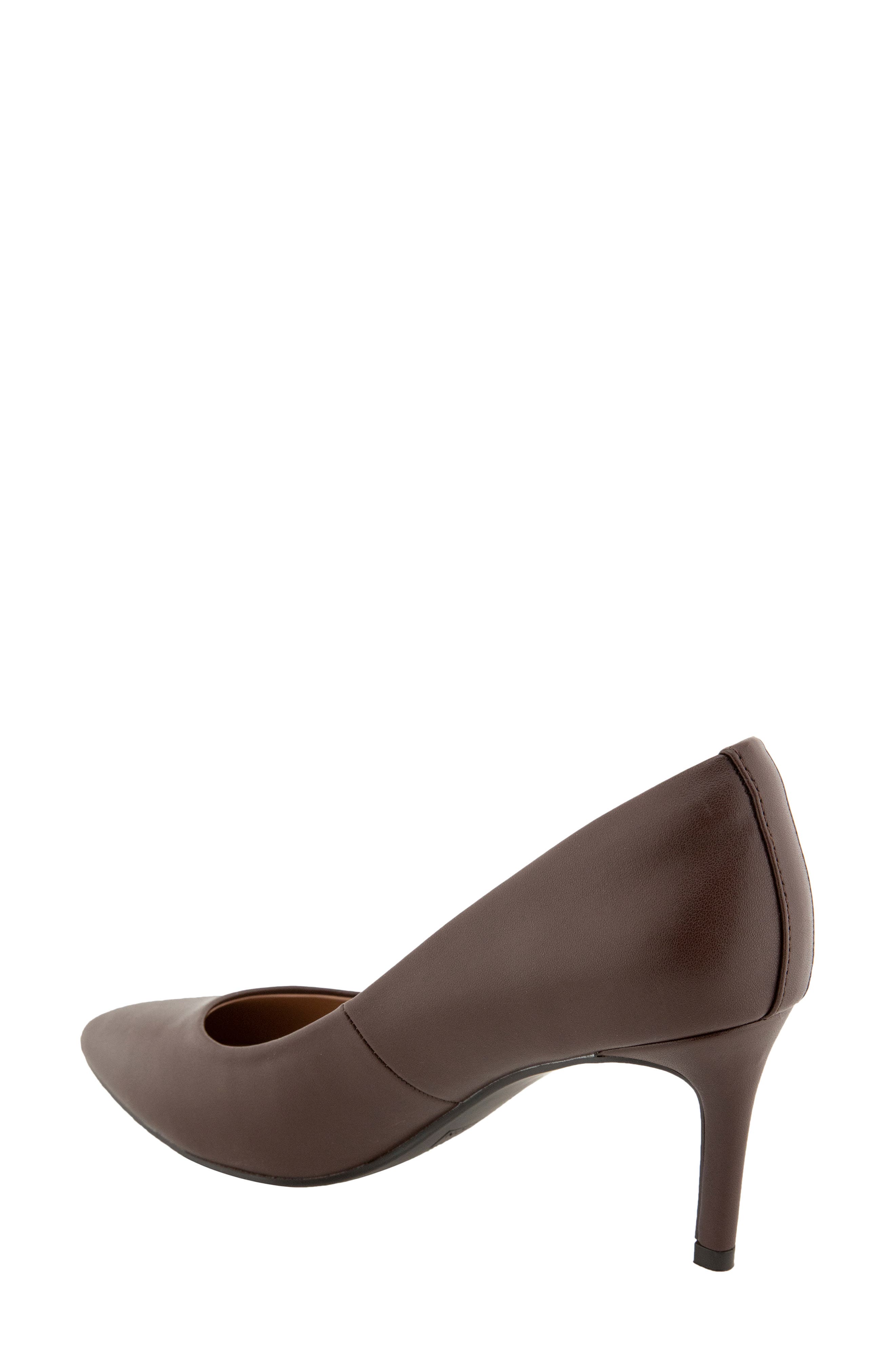 Clara Pointed Toe Pump, Alternate, color, CHICORY