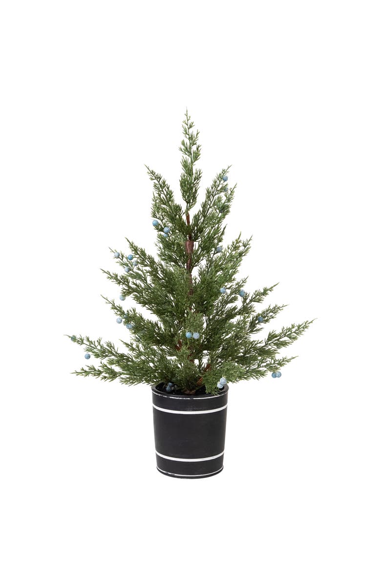 Northlight Potted Pine and Juniper Berry Artificial Christmas Tree - 23" - Unlit, Main, color, Green