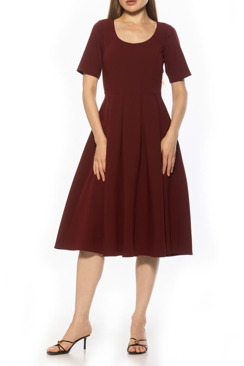 Imani Pleated Short Sleeve Dress, Main, color, BURGUNDY