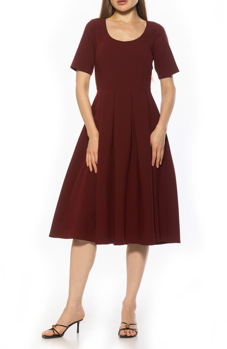 burgundy pleated mini dress Camille Pleated Mini Dress main image 0