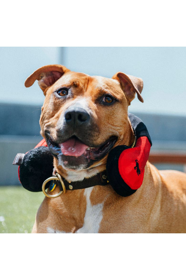Globetrotter Howling Hound Headphones, Plush Dog Toy, Alternate, color, Multicolored