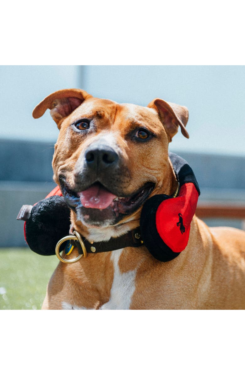 P.L.A.Y. Globetrotter Howling Hound Headphones, Plush Dog Toy, Alternate, color, Multicolored