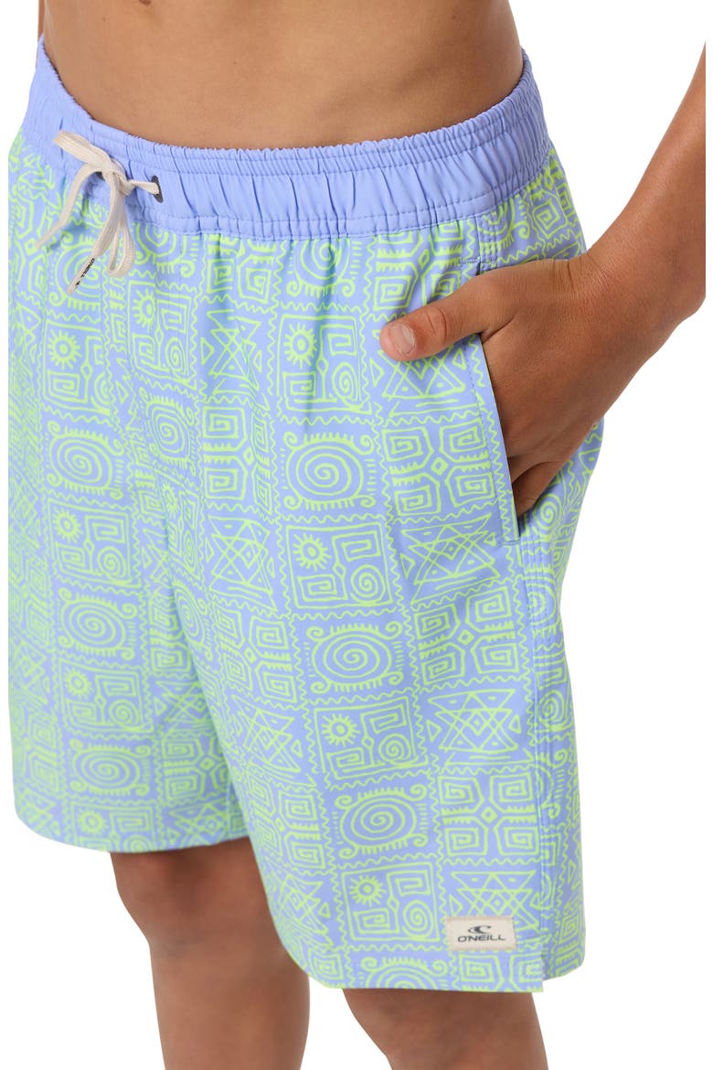 Kids' Hermosa Swim Trunks, Alternate, color, BLUE JELLY