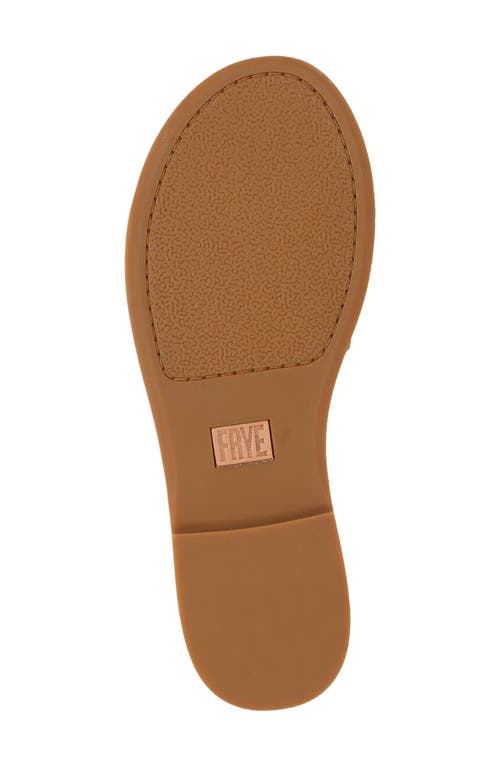 Frye Ava Slide Sandal In Brown