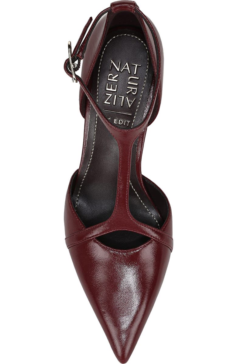 27 EDIT Naturalizer Ezlyn T-Strap Pointed Toe Pump, Alternate, color, Cranberry Red