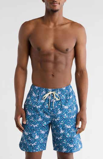 Fair Harbor Blue Sharkwave Swim Shorts