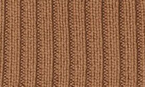 Lacoste Wool Cuff Beanie In Brown