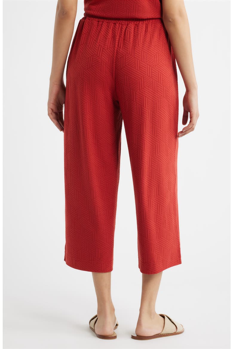 Crop Wide Leg Drawstring Pants, Alternate, color, BRICK