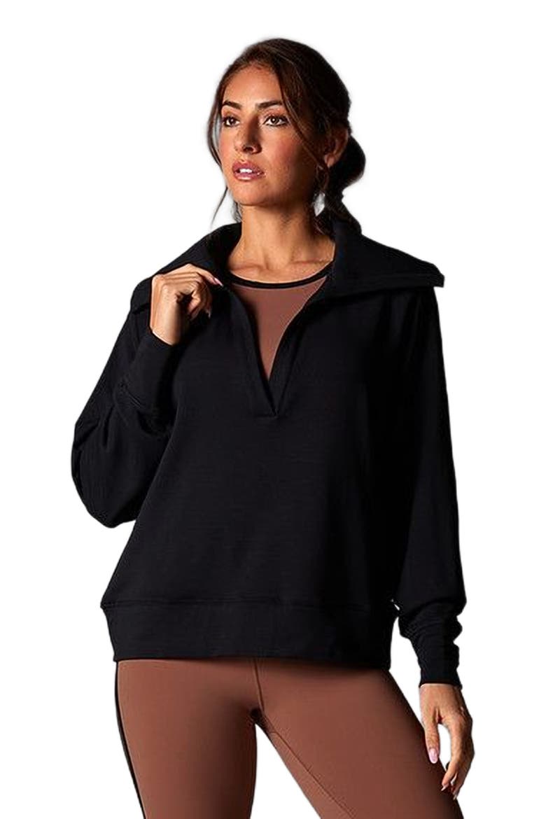 Cozy Collared Sweatshirt, Alternate, color, EBONY