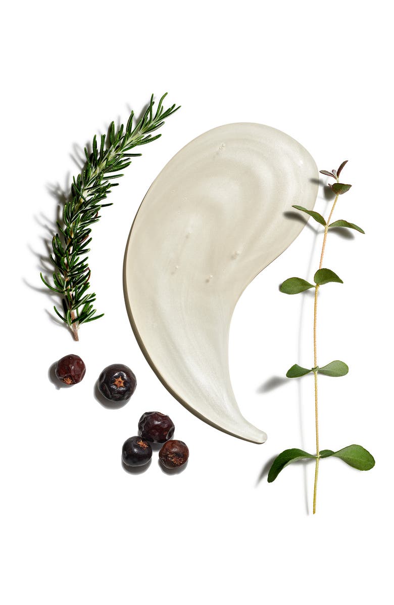 Jack Black The Clean Team Set (Limited Edition) $36 Value, Alternate, color, 