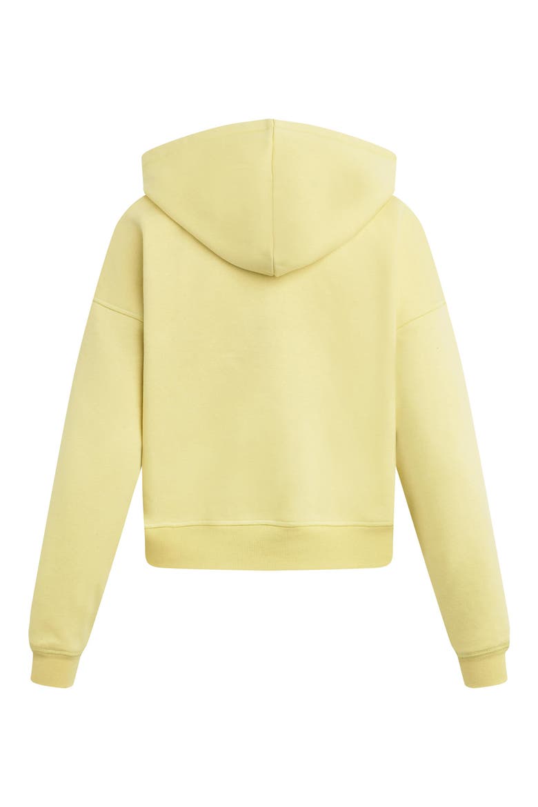 The Collegiate Graphic Hoodie, Alternate, color, GOLDEN/ OFF WHITE