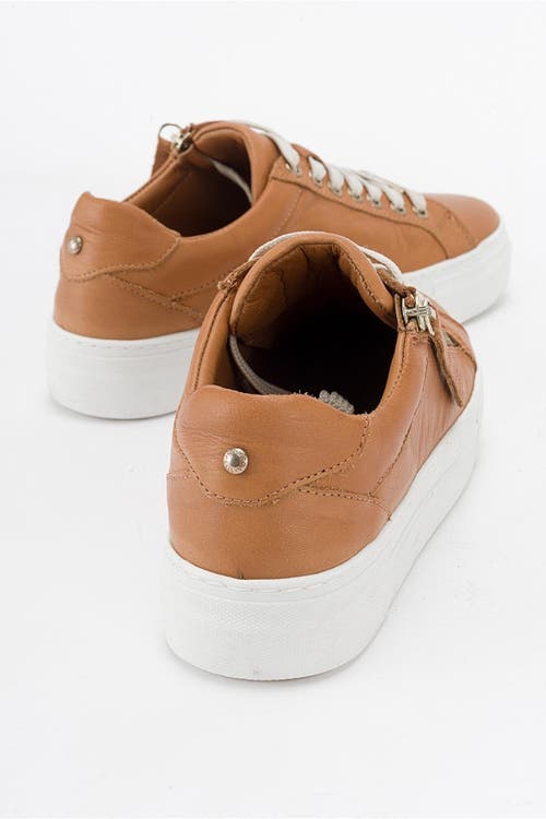 Forever & Always Shoes Beryl Leather Zip Sneaker In Cognac Brown Leather
