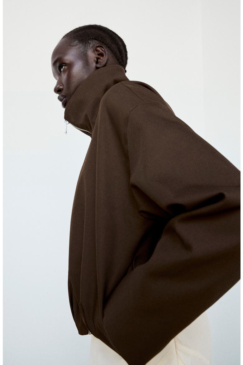 Oversize Stand Collar Jacket, Alternate, color, CHOCOLATE