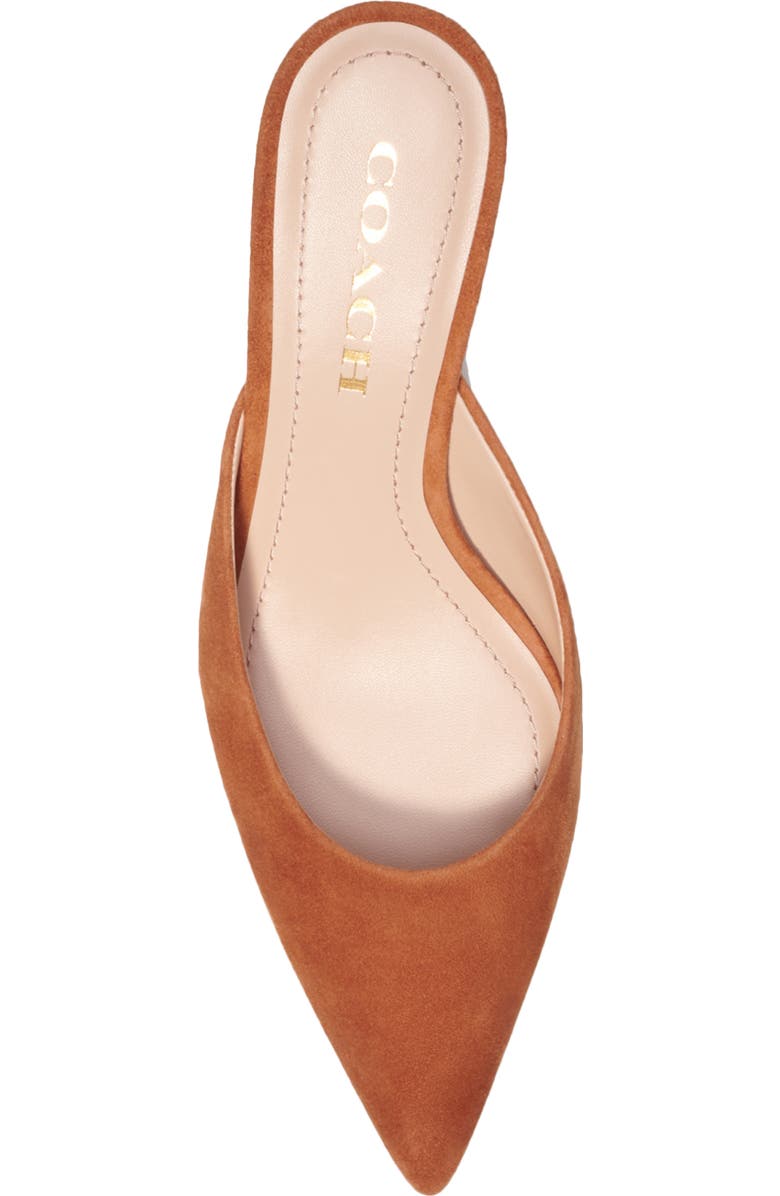 COACH Renn Mule, Alternate, color,