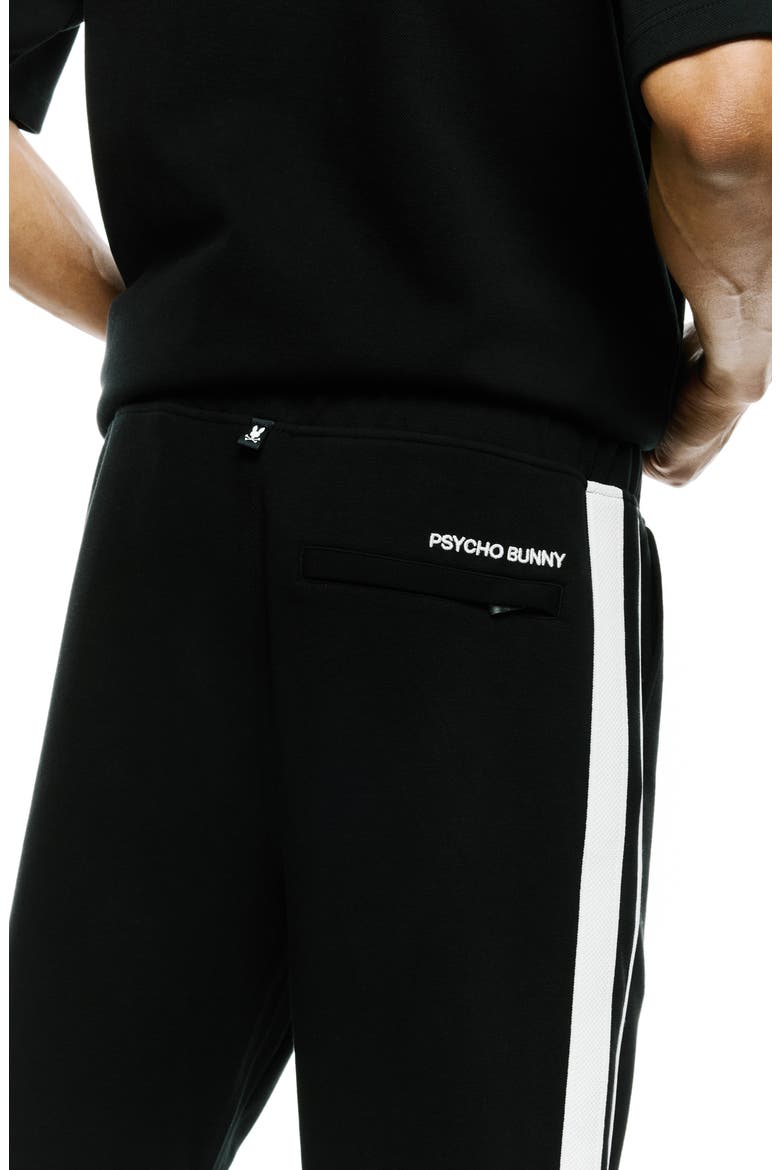Ceano Track Pants, Alternate, color, BLACK