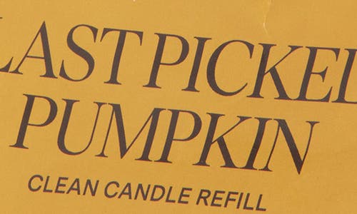 Siblings Last Picked Pumpkin Candle Refill In Multi