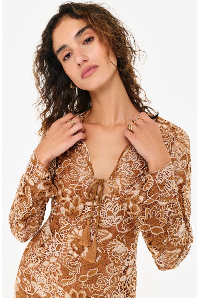 Madeira Long Sleeve Lace Overlay Minidress, Alternate, color, BROWN