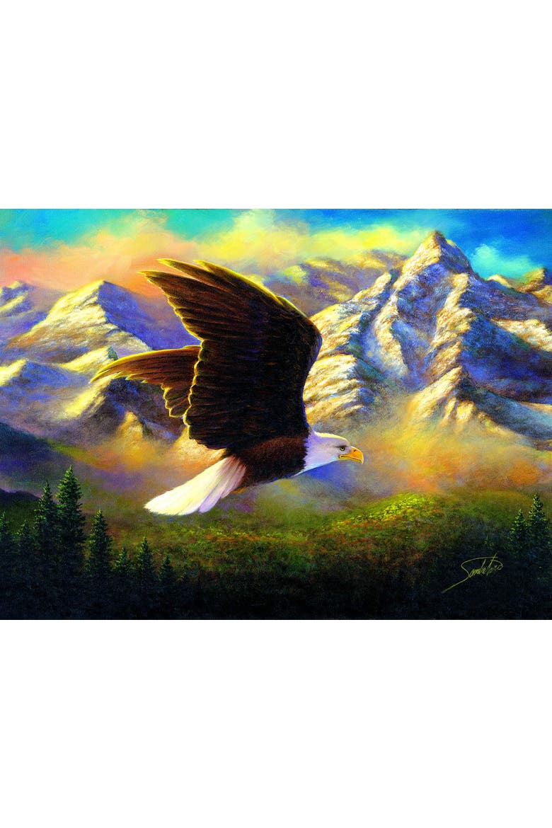 Flying High 1000 piece Jigsaw Puzzle for Adults, Alternate, color, Multicolor