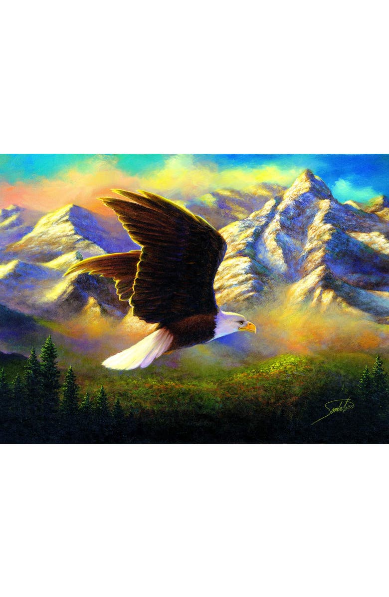 Sunsout Flying High 1000 piece Jigsaw Puzzle for Adults, Alternate, color, Multicolor