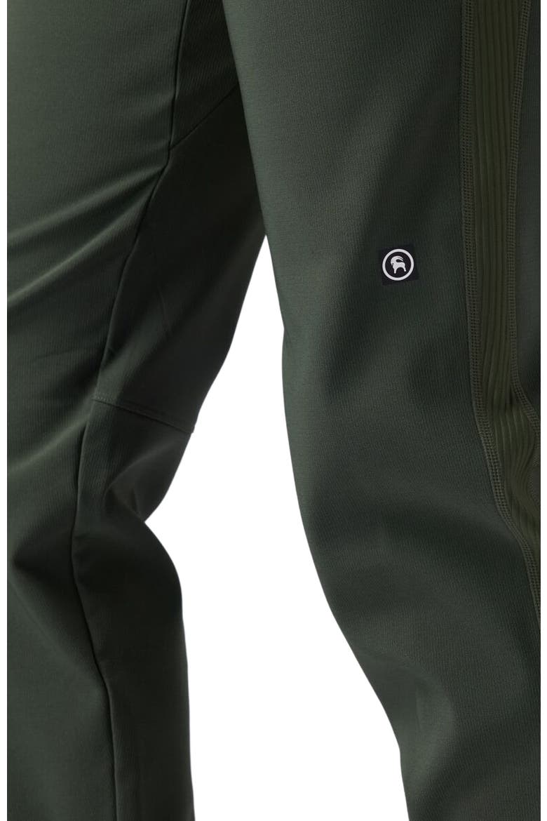 Bga Destination Softshell Fleece Pant - Women's, Alternate, color, Climbing Ivy