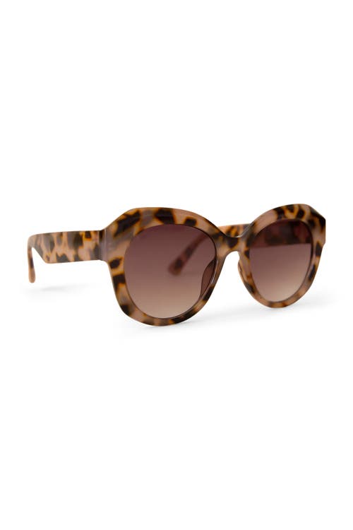 Sunshine Studios Donna Sunglasses In Brown