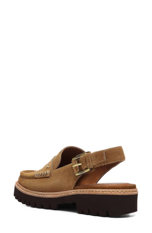 Donald Pliner Slingback Moc Toe Loafer In Saddle